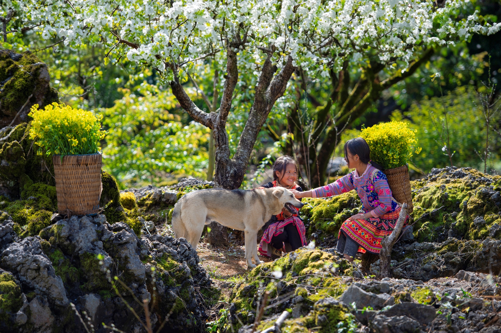 du lich la di nhung ngay dang… - 5